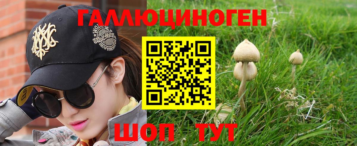 Псилоцибиновые грибы мицелий  Вход с VPN  Ялуторовск 